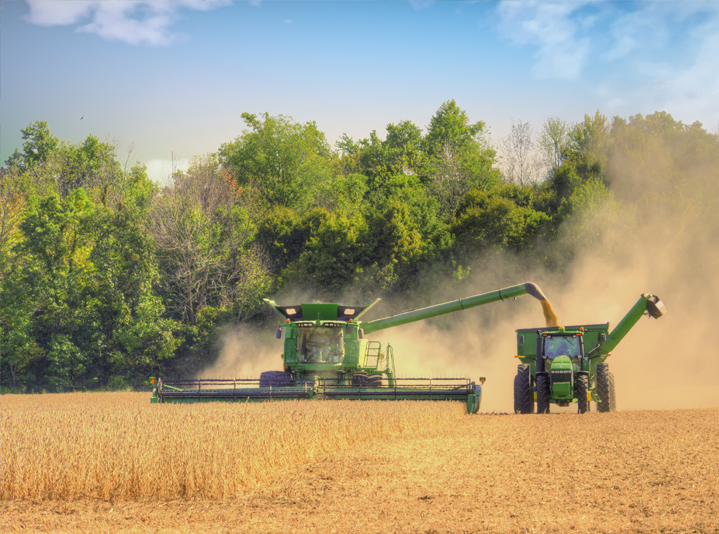 Farming equipment harvesting crops in a field.