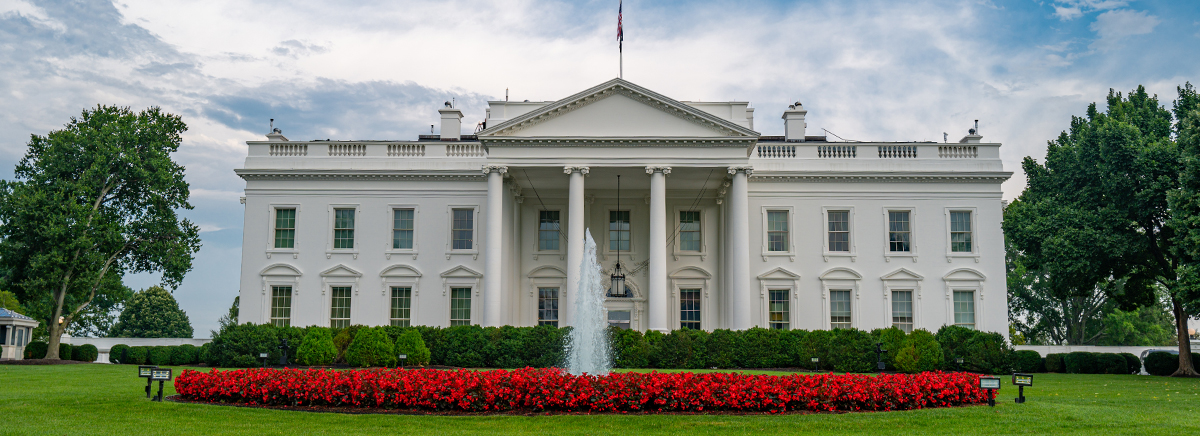 BCI's open letter to President Trump.
