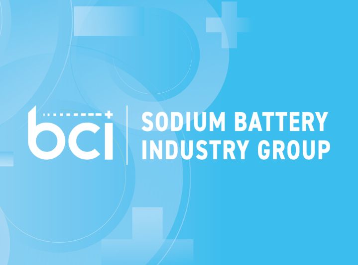 Sodium Battery Industry Group